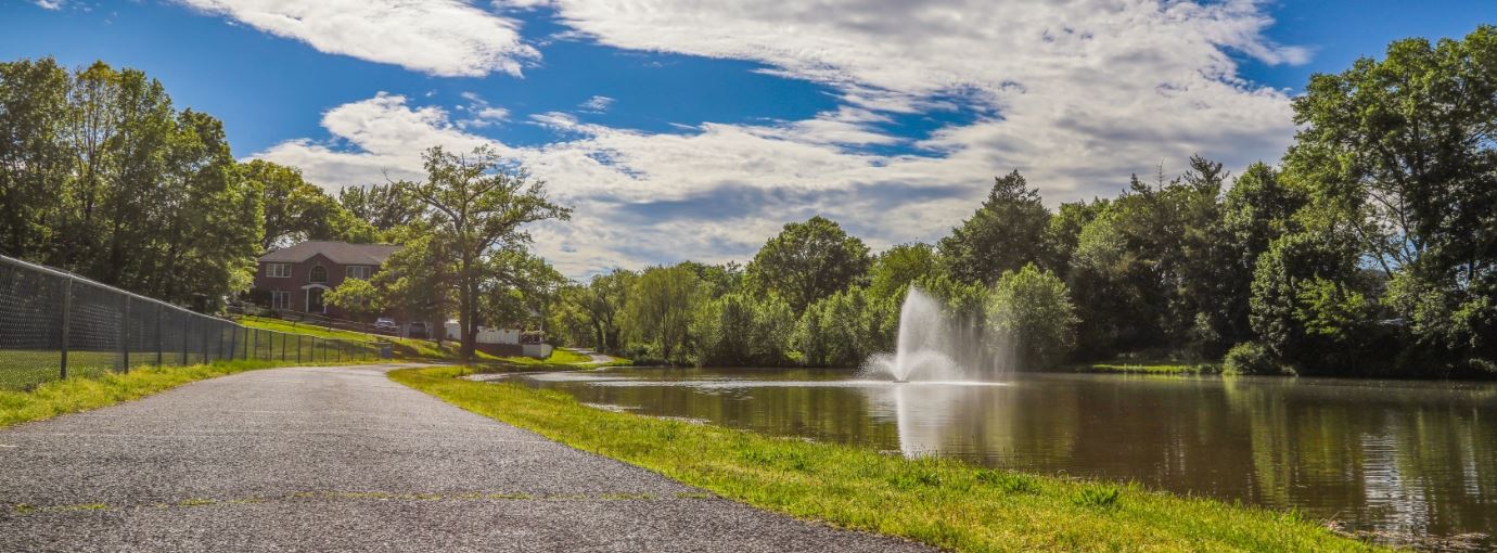 View of pond fountain